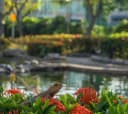 Zilker Botanical Garden