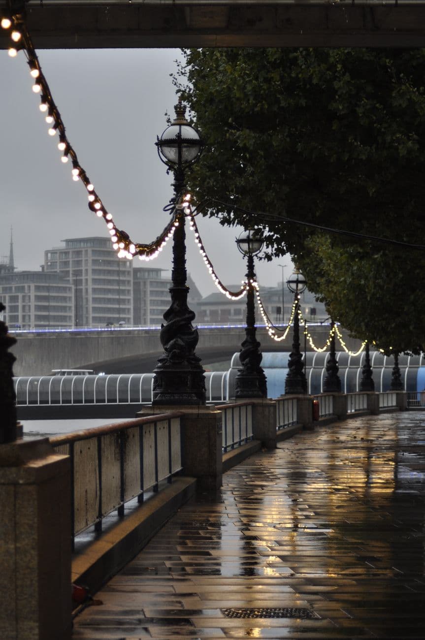 Westminster & South Bank