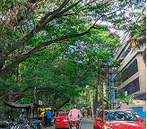 Koramangala