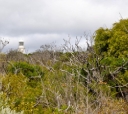 Fort Worth Nature Center and Refuge
